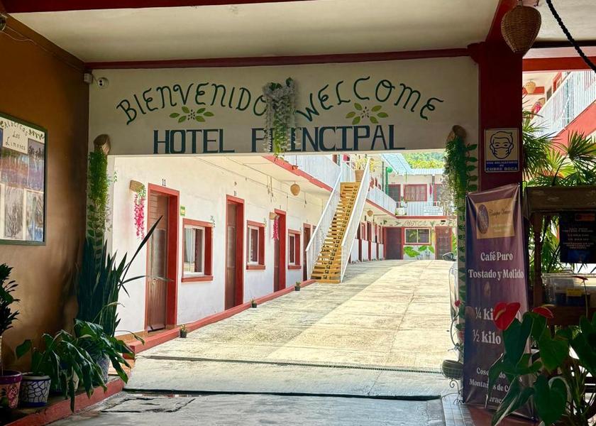 Veracruz Coatepec 