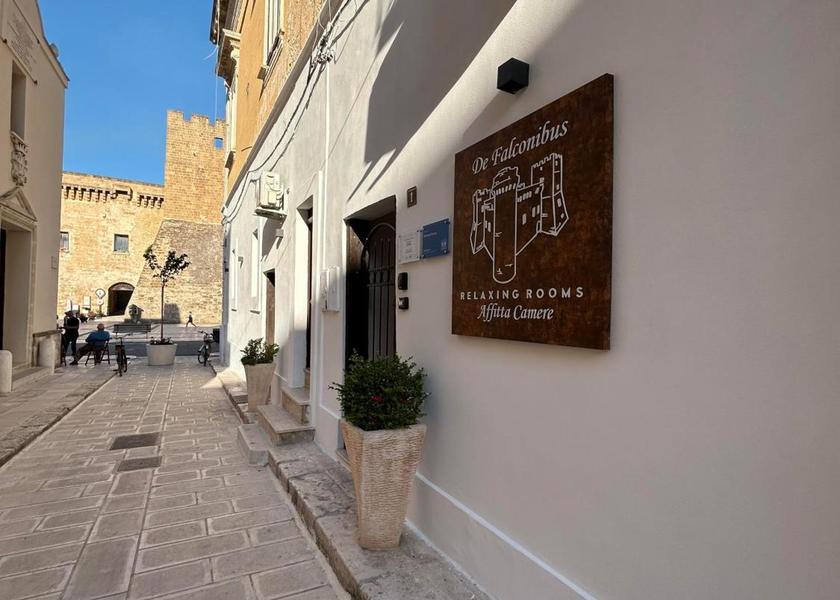 surrounding environment