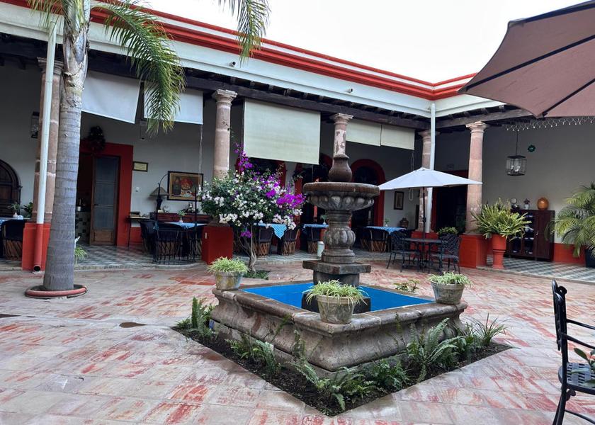 Jalisco Mascota garden