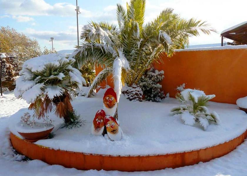 Calabria Rende garden