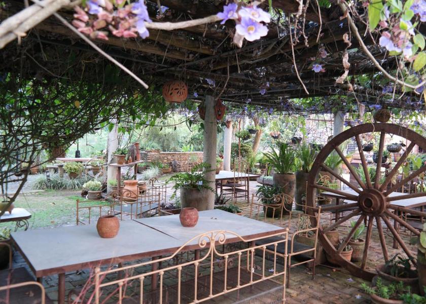 Nayarit Tepic garden