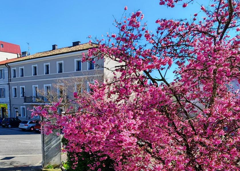 Friuli Venezia Giulia Ronchi dei Legionari exterior view