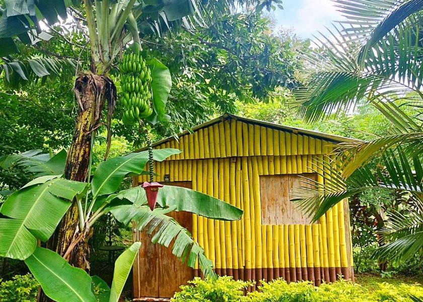 Veracruz Catemaco surrounding environment