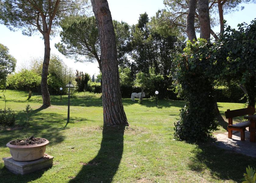 Tuscany San Giuliano Terme 
