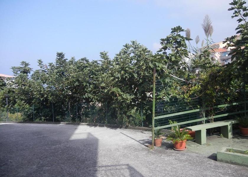 Calabria San Nicola Arcella garden