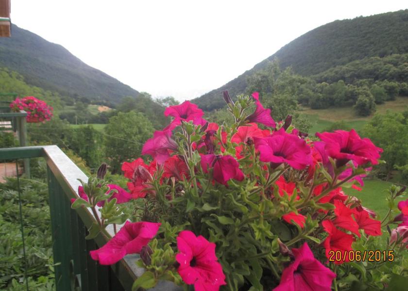 Veneto San Zeno Di Montagna facilities