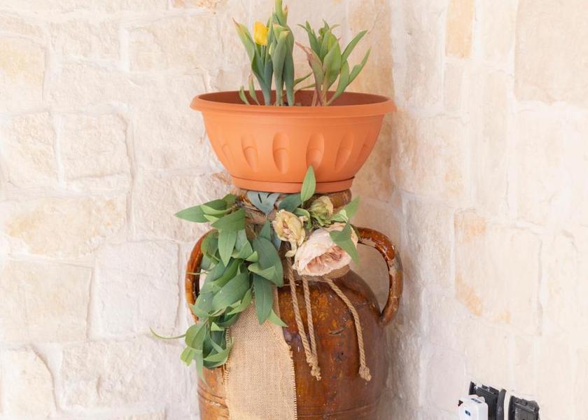 Puglia Sannicandro di Bari 
