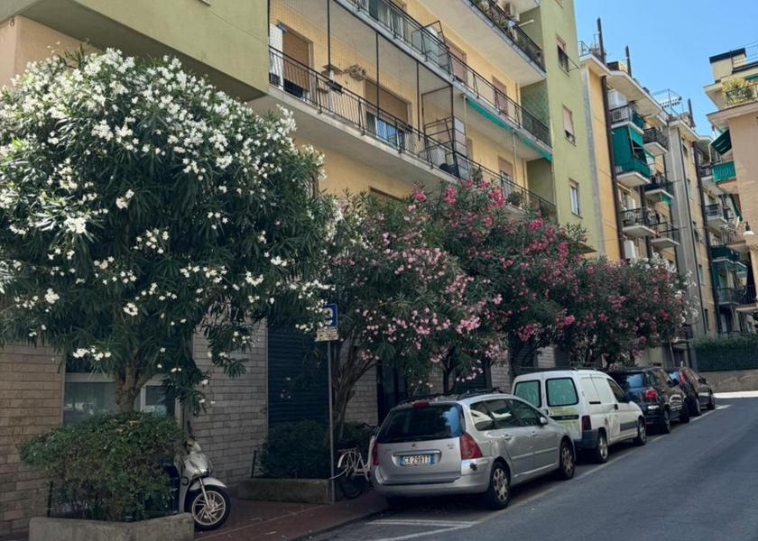 surrounding environment