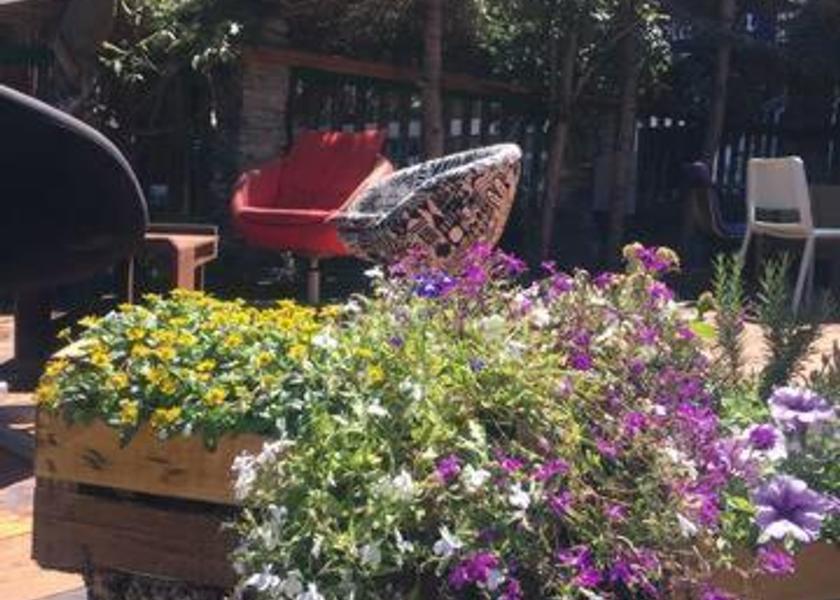 Piedmont Sauze d'Oulx 