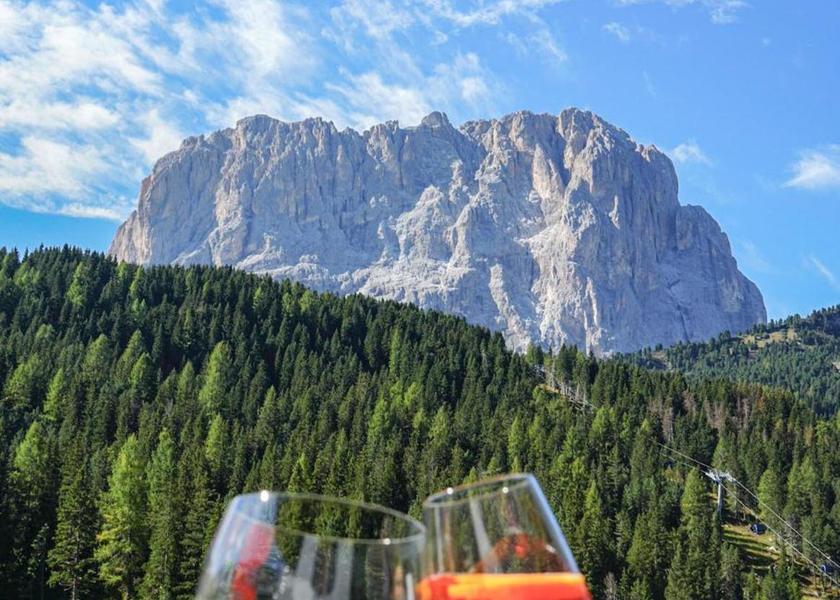 Trentino-Alto Adige Selva di Val Gardena 