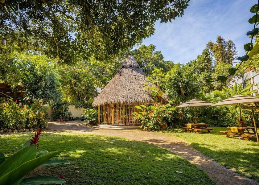 Nayarit Sayulita garden