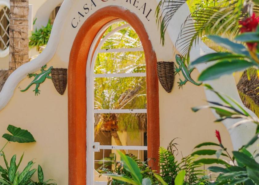 Nayarit Sayulita 