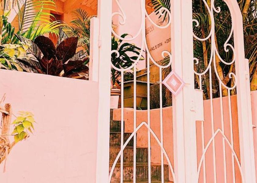 Nayarit Sayulita 