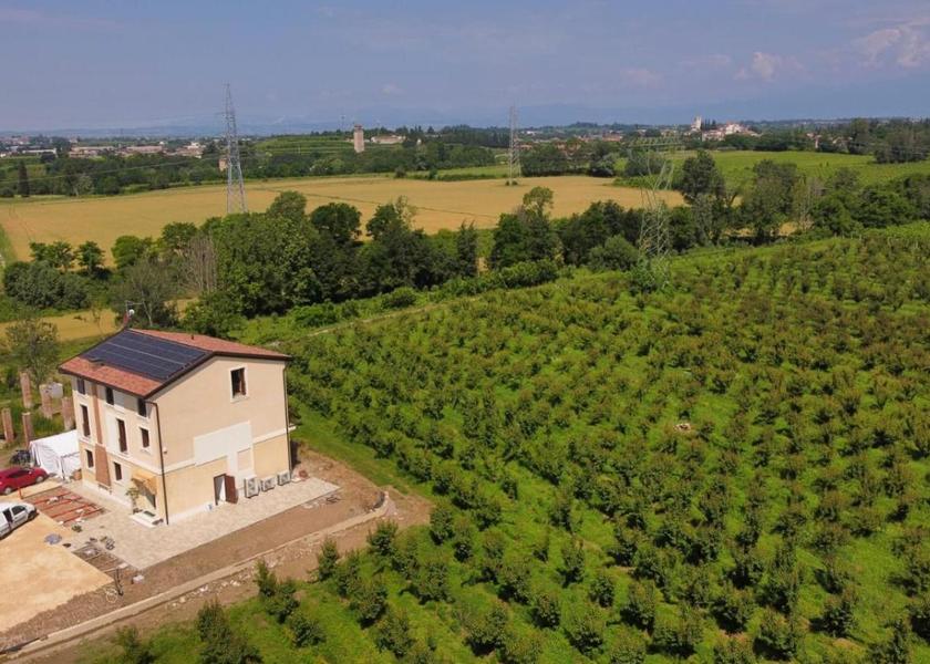 surrounding environment