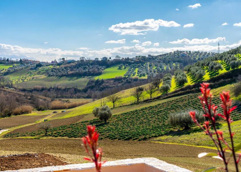 surrounding environment