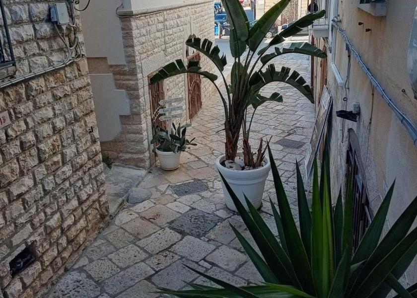 surrounding environment