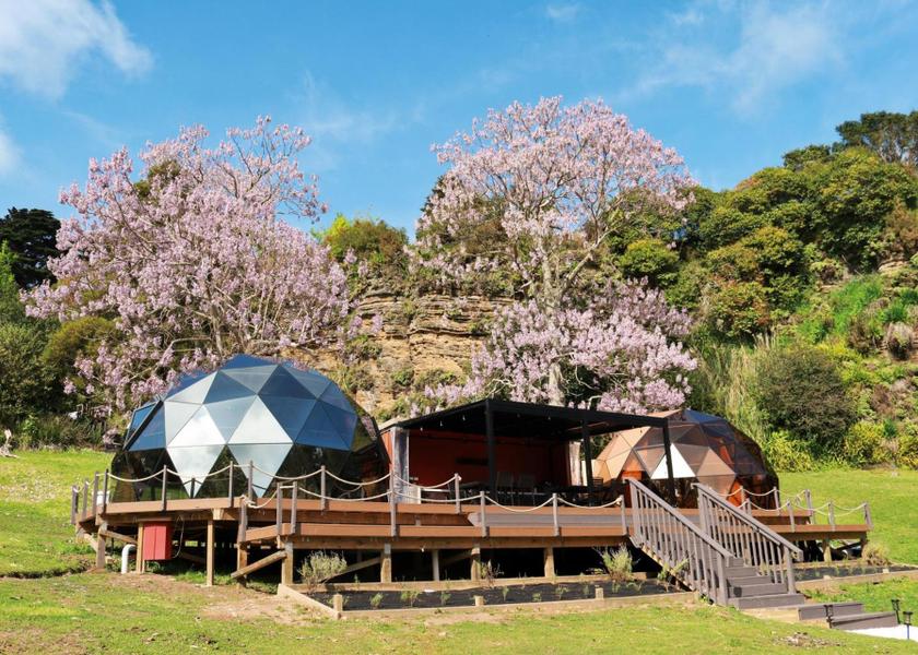 Auckland Region Papakura garden