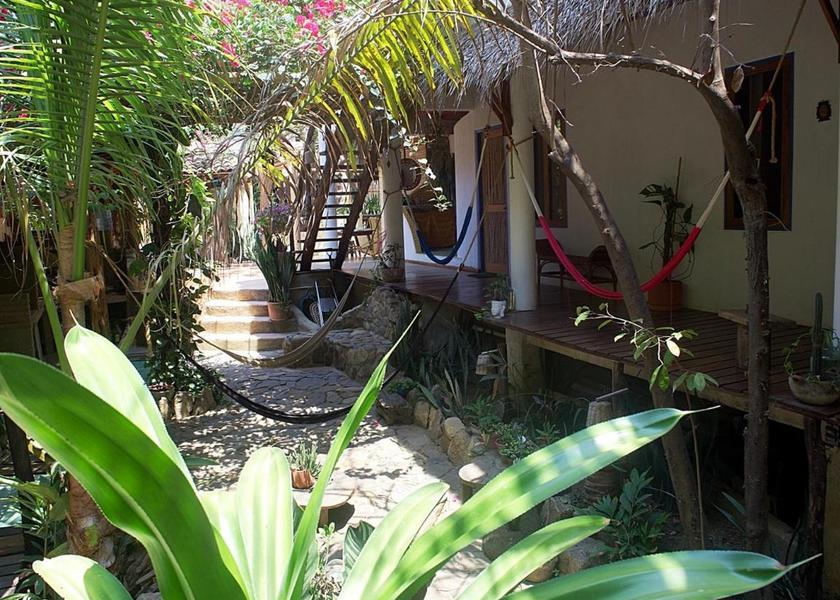 Oaxaca Santa María Tonameca garden