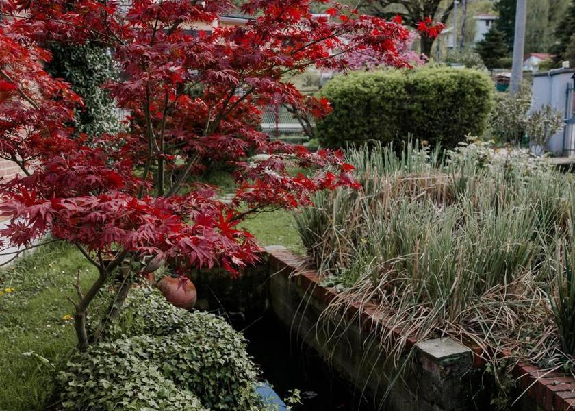 Piedmont Val Della Torre garden