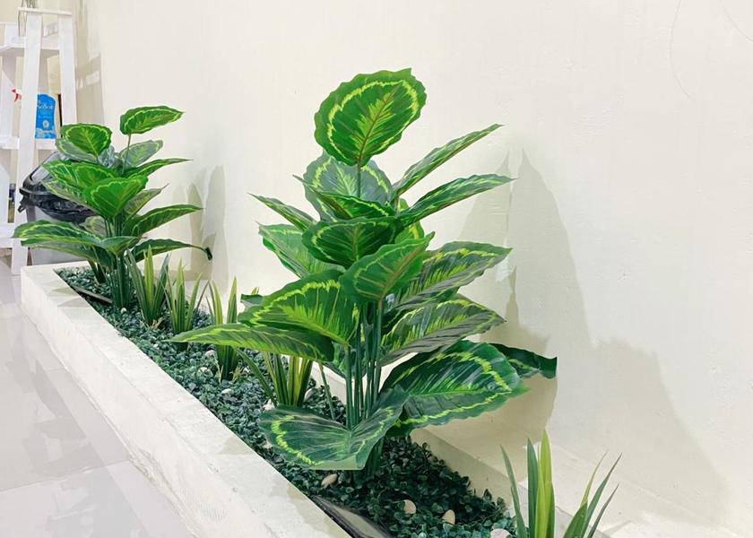 Central Java Magelang view