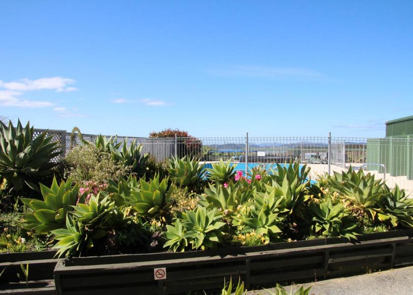 Northland Haruru View