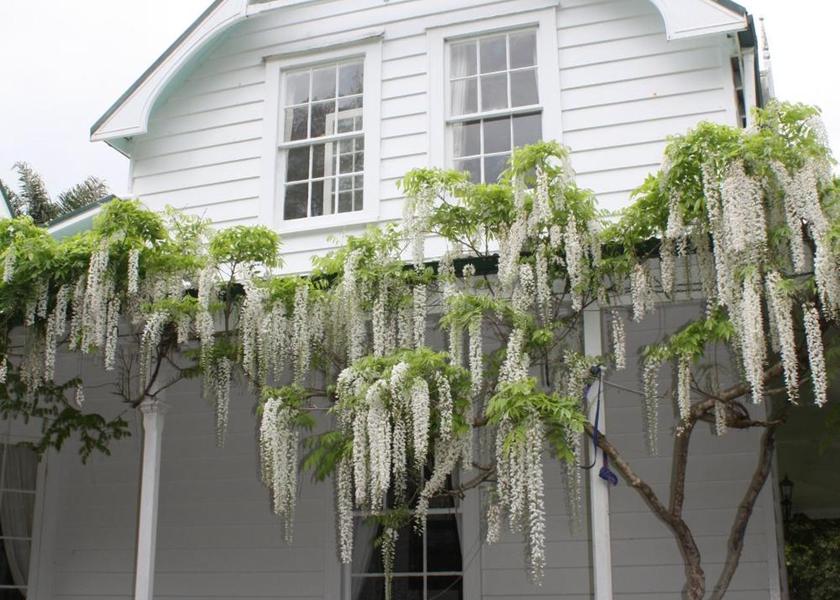 Northland Ohaeawai Exterior view