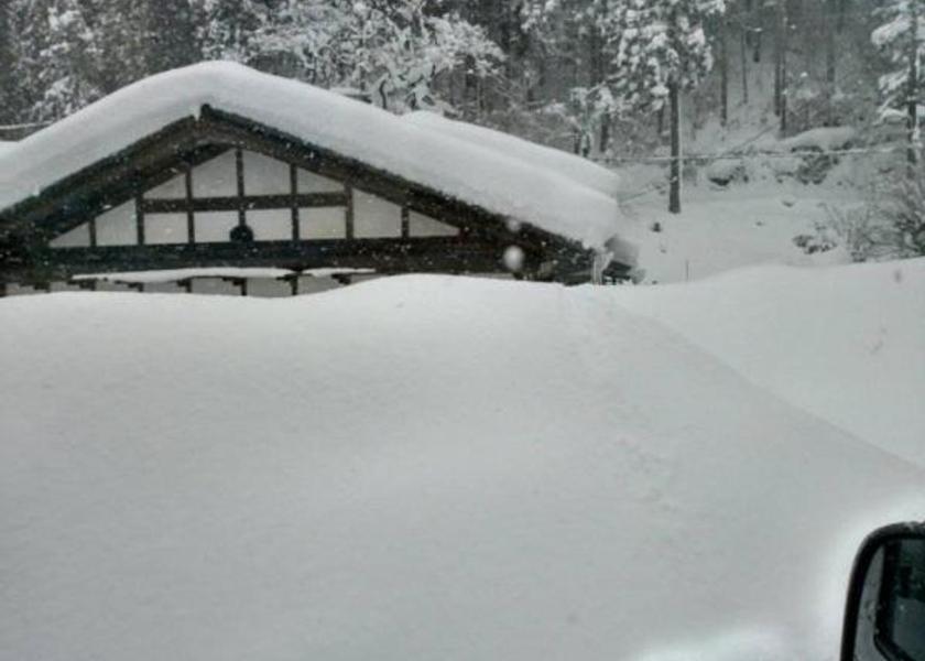 Gifu Mino 
