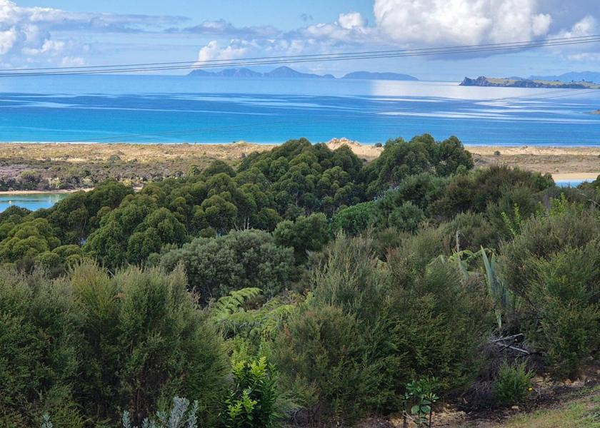 Northland Ngunguru view