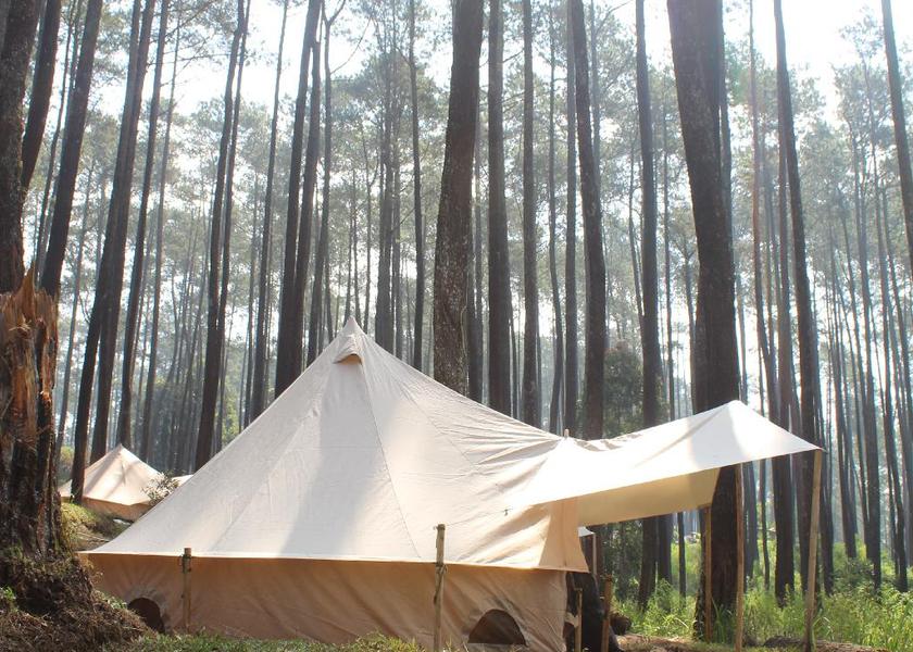 surrounding environment