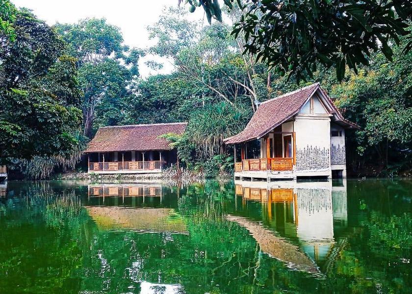 surrounding environment