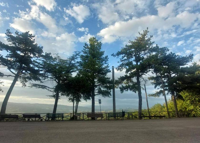 surrounding environment