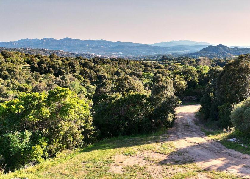Sardinia Arzachena surrounding environment