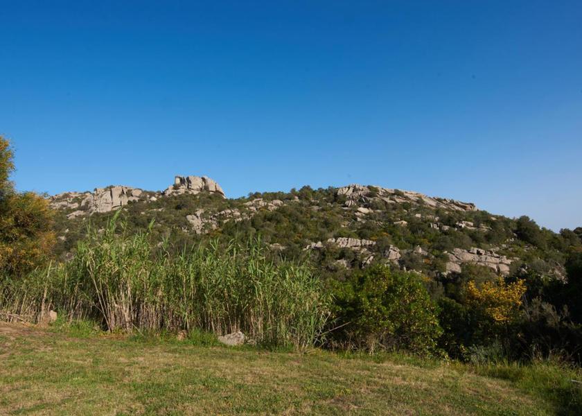 Sardinia Arzachena garden