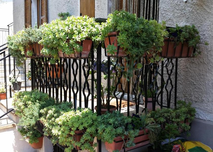 Umbria Amelia entrance