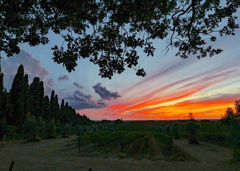 Tuscany Castagneto Carducci view