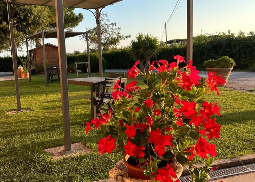 Tuscany Castagneto Carducci 