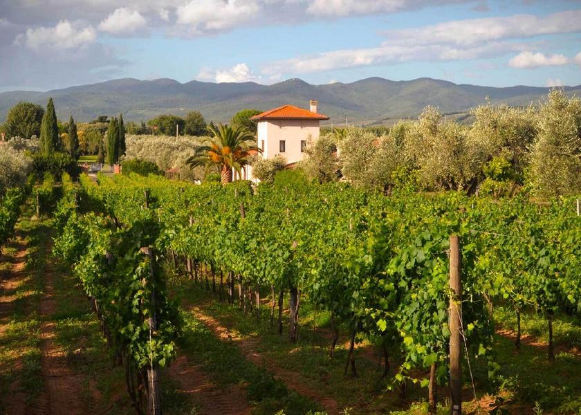 Tuscany Castagneto Carducci 