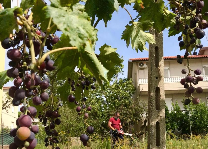 Marche Castelfidardo view