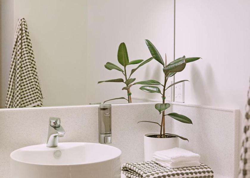 Northland Coopers Beach Suite