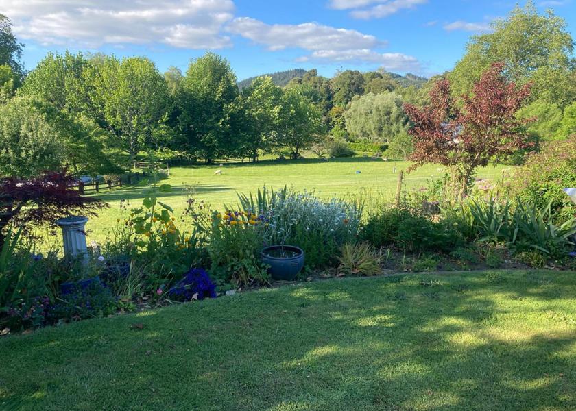 Waikato Karapiro garden