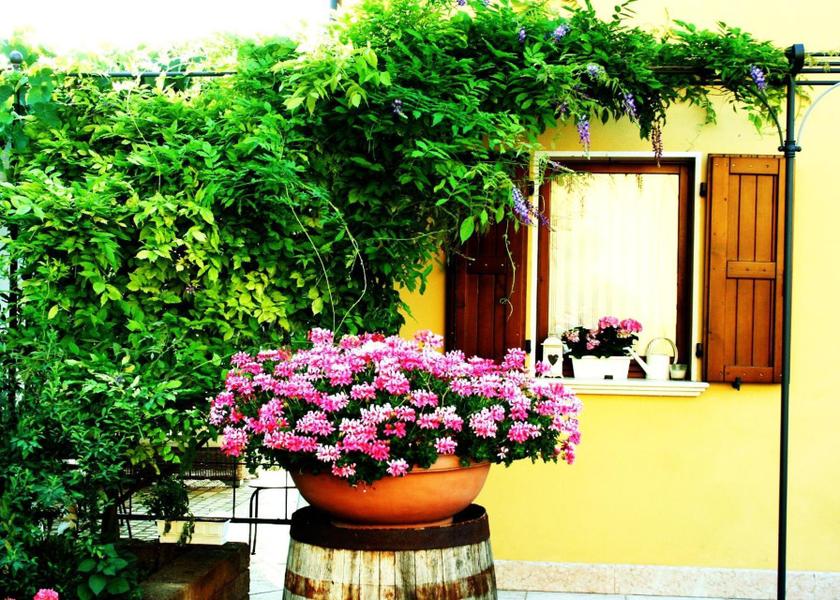 Emilia-Romagna Minerbio garden
