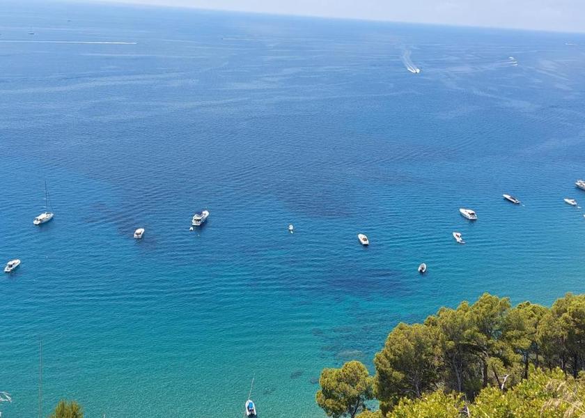 surrounding environment