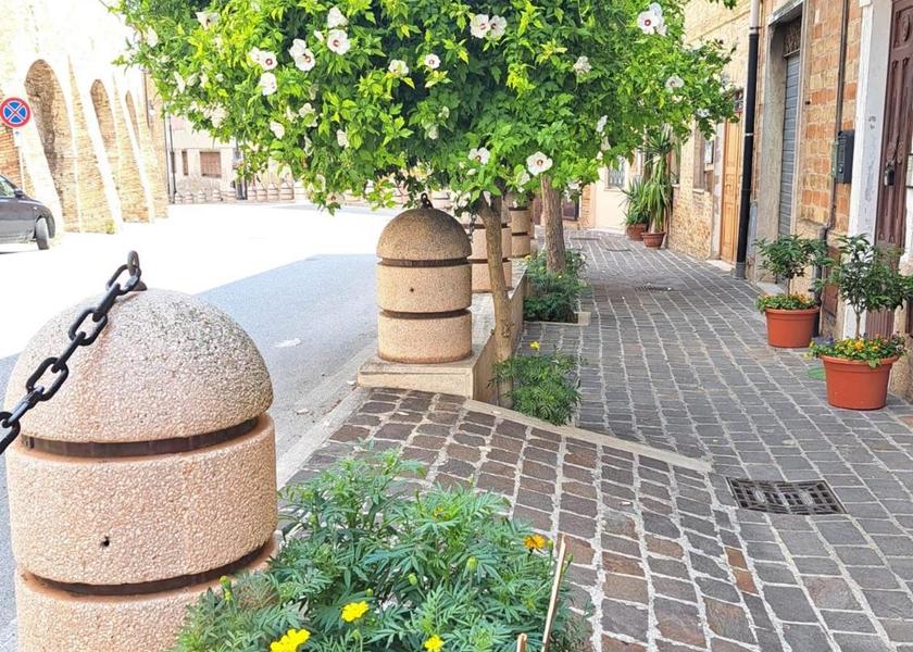 Marche Osimo 