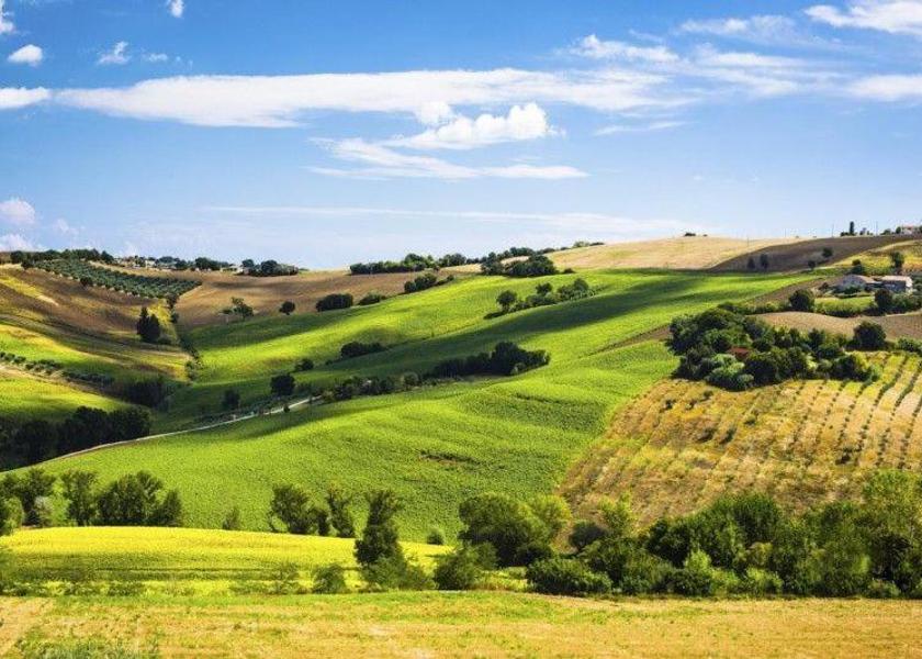 Marche Osimo 