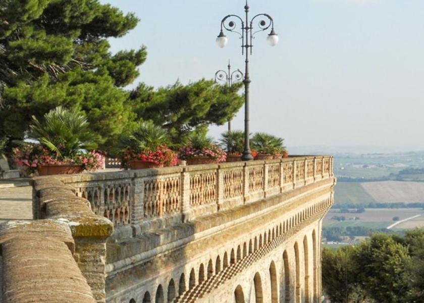 Marche Osimo 