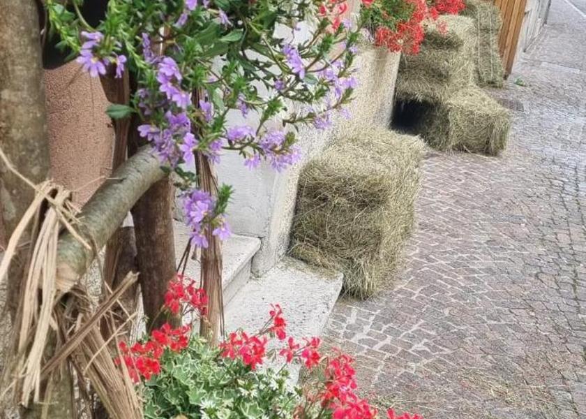 Friuli-Venezia Giulia Pontebba entrance