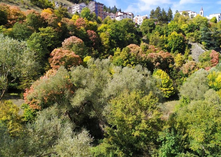 Abruzzo Roccaraso surrounding environment