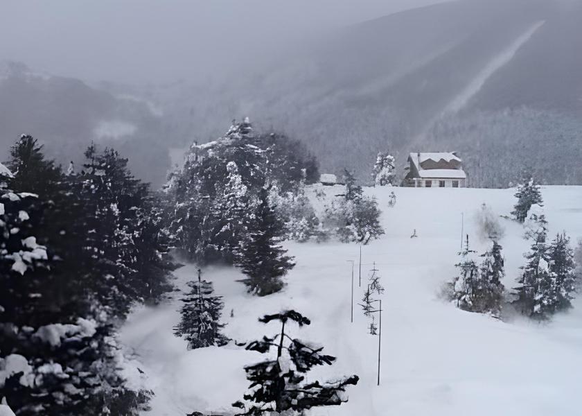 surrounding environment