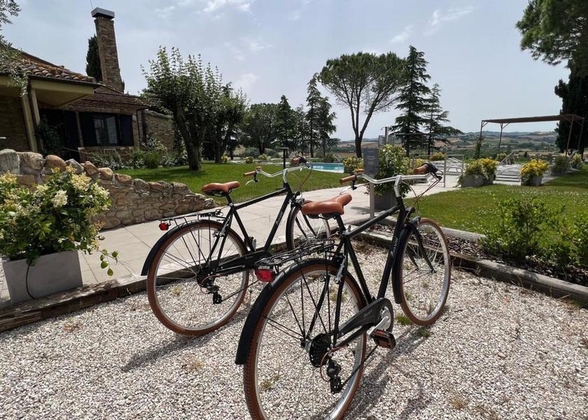 Marche Gradara sports and activities