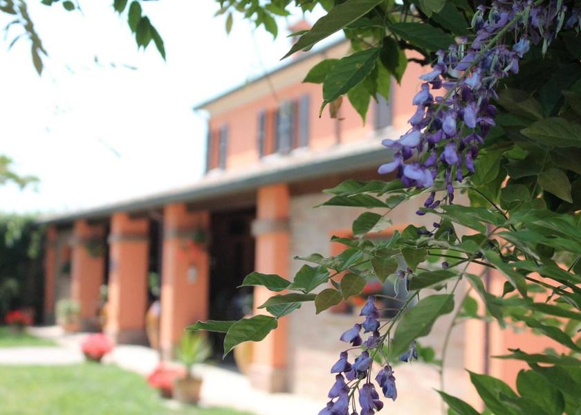 Emilia-Romagna Savignano sul Rubicone 